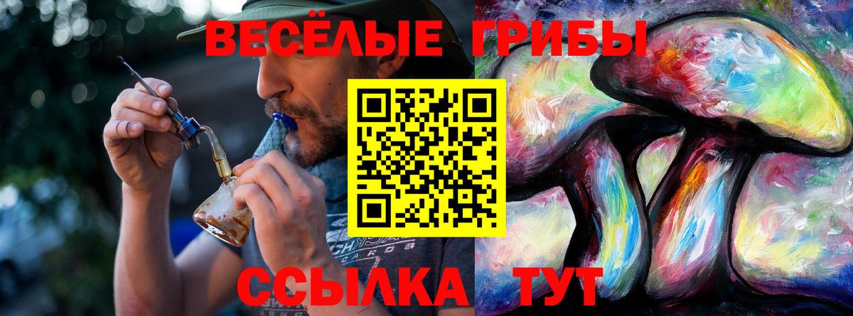 Галлюциногенные грибы GOLDEN TEACHER Карачаевск
